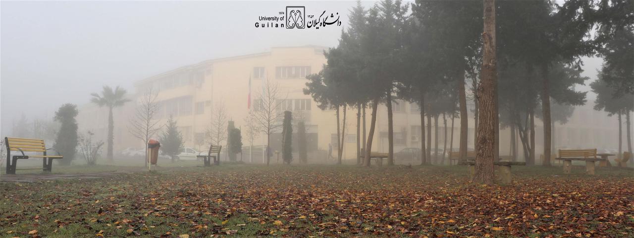تصویر کوچک