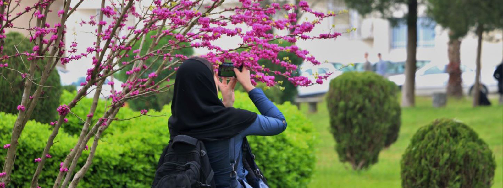 تصویر کوچک